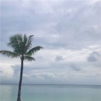 弑神诀游戏下载